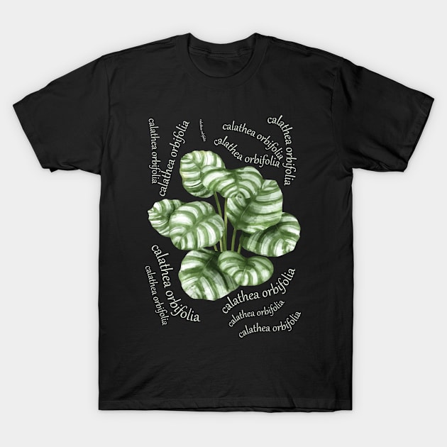 calathea orbifolia T-Shirt by big_owl